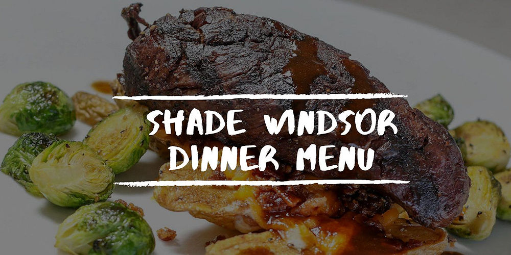 Shade Bar & Grill Windsor Lockes CT - Dinner Menu