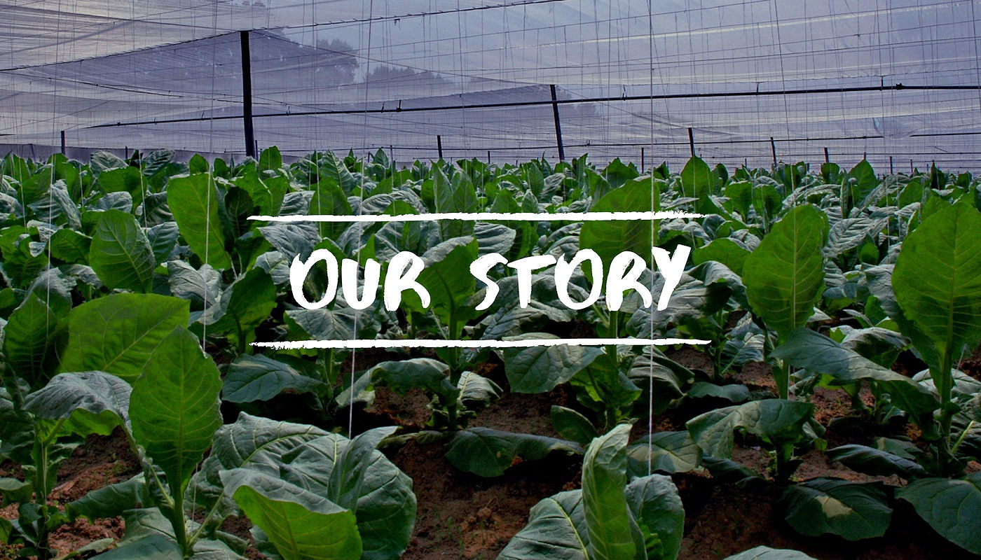 Our Story - Shade Bar and Grill - Sports Bar & Restaurant in Downtown Windsor Locks CT